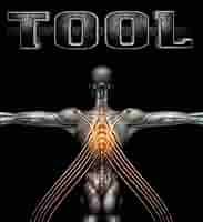 tool Salival cd +　dvd Salival: Tool: Amazon.ca: Music